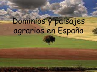 Dominios y paisajes
agrarios en España
 