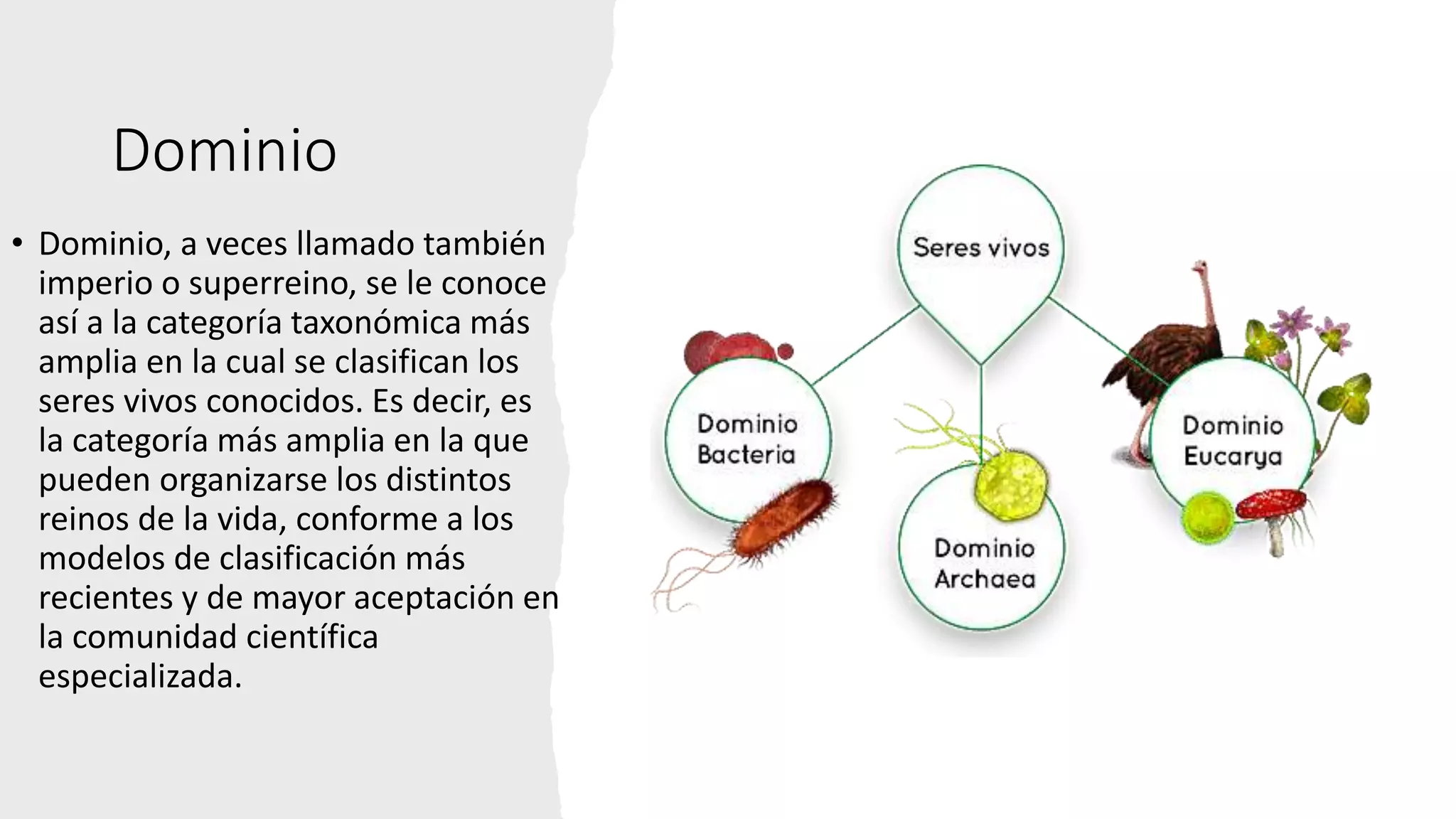 Dominios y Reinos.pptx