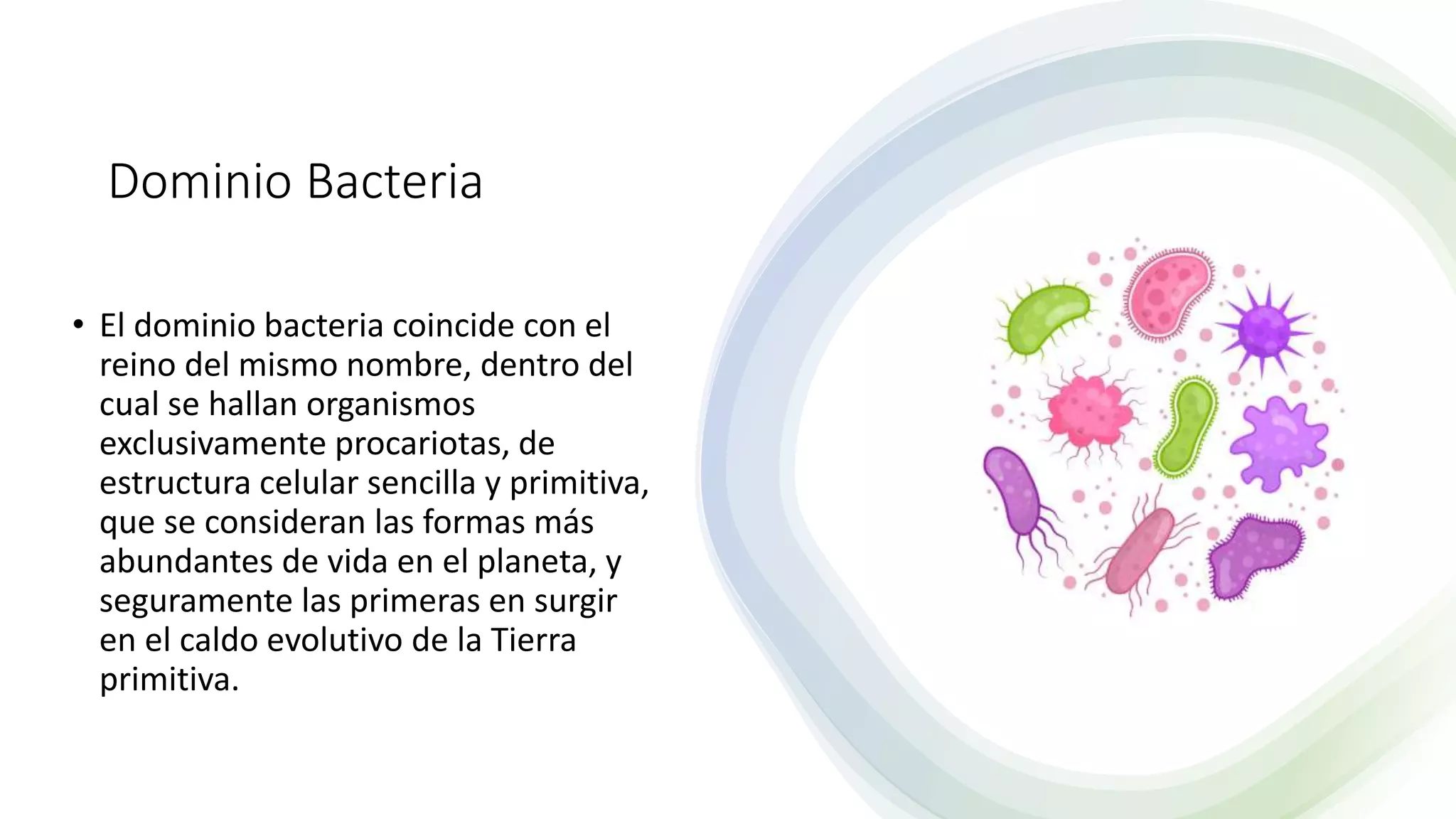 Dominios y Reinos.pptx