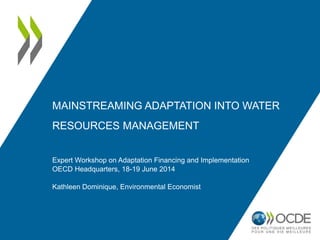 MAINSTREAMING ADAPTATION INTO WATER
RESOURCES MANAGEMENT
Expert Workshop on Adaptation Financing and Implementation
OECD Headquarters, 18-19 June 2014
Kathleen Dominique, Environmental Economist
 