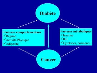 Facteurs comportementaux Régime Activité   Physique Adiposité Diabète Cancer Facteurs   métaboliques Insuline IGF Cytokines, hormones 