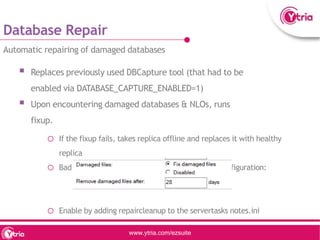 Our take on Domino 10 - a Ytria webinar | PPTX