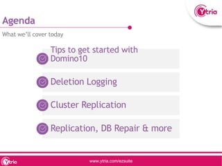 Our take on Domino 10 - a Ytria webinar | PPTX