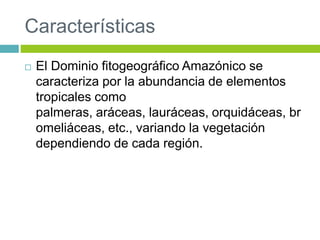 Características 
 El Dominio fitogeográfico Amazónico se 
caracteriza por la abundancia de elementos 
tropicales como 
palmeras, aráceas, lauráceas, orquidáceas, br 
omeliáceas, etc., variando la vegetación 
dependiendo de cada región. 
 