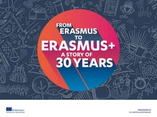 ΓΕΛΔΕ σαπων Domino erasmus