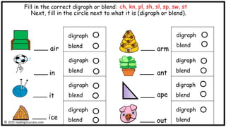Fill in the correct digraph or blend:
Next, fill in the circle next to what it is (digraph or blend).
air
in
it
ice
digraph
blend
digraph
blend
digraph
blend
digraph
blend
arm
digraph
blend
ant
digraph
blend
ape
digraph
blend
out
digraph
blend
ch, kn, pl, sh, sl, sp, sw, st
© 2023 reading2success.com
 