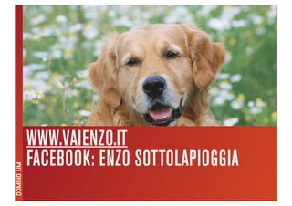 Domino Visions Digital Answer Milano