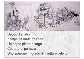 Domino Visions Digital Answer Milano