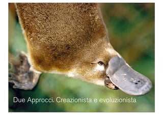 Domino Visions Digital Answer Milano