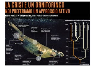 Domino Visions Digital Answer Milano