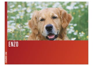 Domino Visions Digital Answer Milano