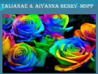 Taijanae & Aiyanna Henry MSPP
 