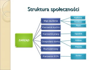 Struktura społeczności

 