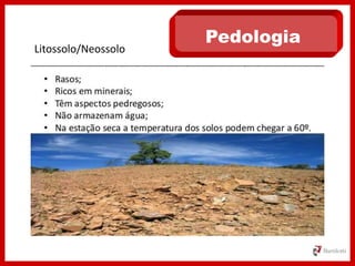 Pedologia
Litossolo/Neossolo
 