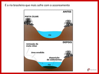 É o rio brasileiro que mais sofre com o assoreamento
 