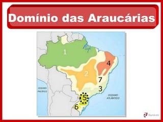 Domínio das Araucárias
 