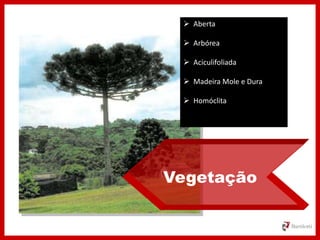 Vegetação
 Aberta
 Arbórea
 Aciculifoliada
 Madeira Mole e Dura
 Homóclita
 