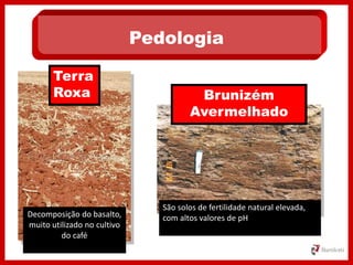 Brunizém
Avermelhado
Terra
Roxa
Pedologia
Decomposição do basalto,
muito utilizado no cultivo
do café
São solos de fertilidade natural elevada,
com altos valores de pH
 