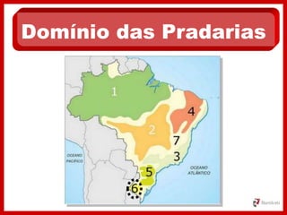 Domínio das Pradarias
 