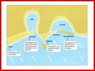 Coxilhas
Cerros
Restinga
 