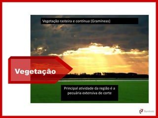 Vegetação
Vegetação rasteira e contínua (Gramíneas)
Principal atividade da região é a
pecuária extensiva de corte
 