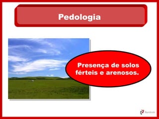 Pedologia
Presença de solos
férteis e arenosos.
 