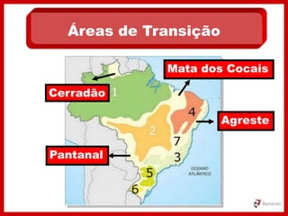 Áreas de Transição
Pantanal
Agreste
Mata dos Cocais
Cerradão
 
