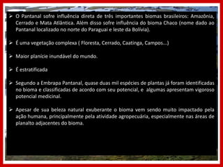  O Pantanal sofre influência direta de três importantes biomas brasileiros: Amazônia,
Cerrado e Mata Atlântica. Além disso sofre influência do bioma Chaco (nome dado ao
Pantanal localizado no norte do Paraguai e leste da Bolívia).
 É uma vegetação complexa ( Floresta, Cerrado, Caatinga, Campos...)
 Maior planície inundável do mundo.
 É estratificada
 Segundo a Embrapa Pantanal, quase duas mil espécies de plantas já foram identificadas
no bioma e classificadas de acordo com seu potencial, e algumas apresentam vigoroso
potencial medicinal.
 Apesar de sua beleza natural exuberante o bioma vem sendo muito impactado pela
ação humana, principalmente pela atividade agropecuária, especialmente nas áreas de
planalto adjacentes do bioma.
 