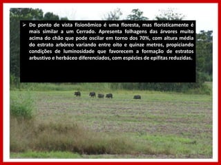  Do ponto de vista fisionômico é uma floresta, mas floristicamente é
mais similar a um Cerrado. Apresenta folhagens das árvores muito
acima do chão que pode oscilar em torno dos 70%, com altura média
do estrato arbóreo variando entre oito e quinze metros, propiciando
condições de luminosidade que favorecem a formação de estratos
arbustivo e herbáceo diferenciados, com espécies de epífitas reduzidas.
 