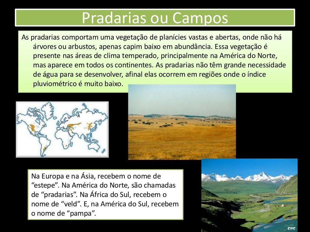 Qual A Diferença Entre Bioma E Dominio Morfoclimatico