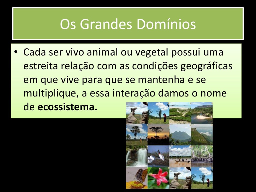 Qual O Dominio Morfoclimatico Descrito Nesse Texto