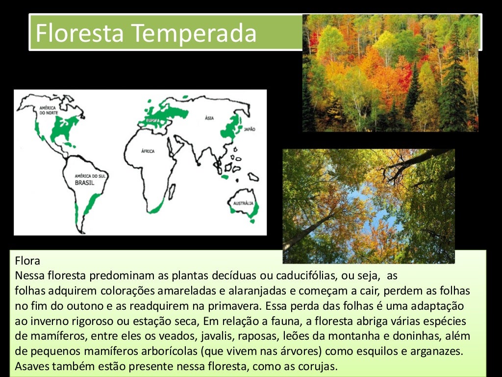 Qual O Dominio Morfoclimatico Descrito Nesse Texto