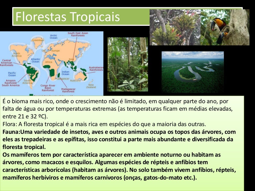 Qual O Dominio Morfoclimatico Descrito Nesse Texto