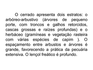 O cerrado apresenta dois estratos: o
arbóreo-arbustivo (árvores de pequeno
porte, com troncos e galhos retorcidos,
cascas grossas e raízes profundas) e o
herbáceo (gramíneas e vegetação rasteira
com várias espécies de capim ). O
espaçamento entre arbustos e árvores é
grande, favorecendo a prática da pecuária
extensiva. O lençol freático é profundo.

 