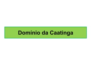 Domínio da Caatinga

 