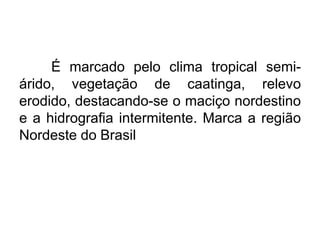 É marcado pelo clima tropical semiárido, vegetação de caatinga, relevo
erodido, destacando-se o maciço nordestino
e a hidrografia intermitente. Marca a região
Nordeste do Brasil

 