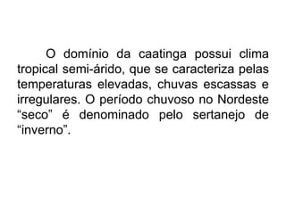 O domínio da caatinga possui clima
tropical semi-árido, que se caracteriza pelas
temperaturas elevadas, chuvas escassas e
irregulares. O período chuvoso no Nordeste
“seco” é denominado pelo sertanejo de
“inverno”.

 