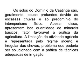 Os solos do Domínio da Caatinga são,
geralmente, pouco profundos devido às
escassas chuvas e ao predomínio do
intemperismo
físico.
Apesar
disso,
apresentam boa quantidade de minerais
básicos, fator favorável à prática da
agricultura. A limitação da atividade agrícola
é representada pelo regime incerto e
irregular das chuvas, problema que poderia
ser solucionado com a prática de técnicas
adequadas de irrigação.

 