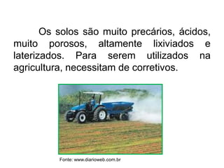 Os solos são muito precários, ácidos,
muito porosos, altamente lixiviados e
laterizados. Para serem utilizados na
agricultura, necessitam de corretivos.

Fonte: www.diarioweb.com.br

 