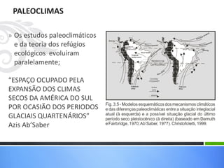 Domínios da paisagem paleopaisagens | PDF