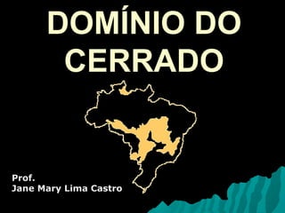 DOMÍNIO DODOMÍNIO DO
CERRADOCERRADO
Prof.
Jane Mary Lima Castro
 