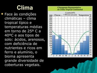 Domínios do cerrado | PPT