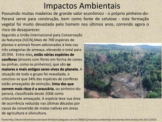 Impactos Ambientais
Possuindo muitas madeiras de grande valor econômico - o próprio pinheiro-do-
Paraná serve para construção, bem como fonte de celulose - esta formação
vegetal foi muito devastada pelo homem nos últimos anos, correndo agora o
risco de desaparecer.
Fonte:http://desenvolvimentosustentavel-fefralema.blogspot.com.br/2009/12/impactos-ambientais-em-biomas.html.Acesso em 25/11/2015
Segundo a União Internacional para Conservação
da Natureza (IUCN),Mais de 700 espécies de
plantas e animais foram adicionadas à lista nas
três categorias de ameaça, elevando o total para
20.934. Entre elas, estão várias espécies de
coníferas (árvores com flores em forma de cones
ou pinhas, como os pinheiros), que são os
maiores e mais antigos seres vivos do planeta. A
situação de todo o grupo foi reavaliada, e
concluiu-se que 34% das espécies de coníferas
estão ameaçadas de extinção. Uma das que
correm mais risco é a araucária, ou pinheiro-do-
paraná, classificada desde 2006 como
criticamente ameaçada. A espécie teve sua área
de ocorrência reduzida nas últimas décadas por
causa da conversão de matas nativas em áreas
de agricultura e silvicultura.
 