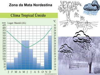 Zona da Mata Nordestina www.cocemsuacasa.com.br