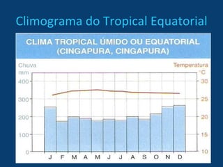 Climograma do Tropical Equatorial 