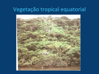 Vegetação tropical equatorial 