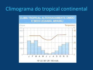 Climograma do tropical continental 