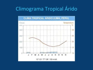 Climograma Tropical Árido 