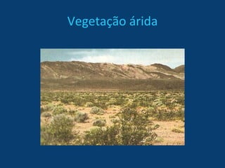Vegetação árida 