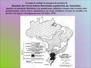 Exemplo de unidade de paisagem de grandeza II Domínio das terras baixas florestadas equatoriais da Amazônia: planícies de inundação labirínticas e/ou meandrantes; tabuleiros extensos com vertentes semi-mamelonizadas; morros baixos mamelonares nas áreas cristalinas; terraços de cascalho e/ou laterita; rios negros e drenagens perenes (Ab’Saber, 1970). 
